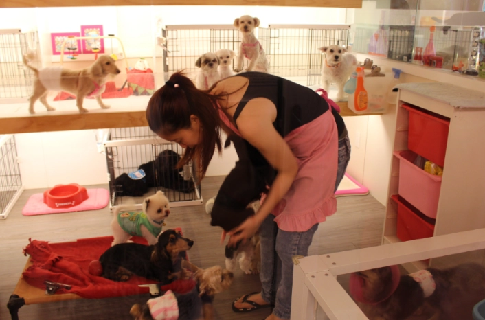 寵物保姆職責 寵物保姆職責