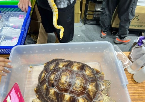 台南寵物用品展 台南寵物用品展