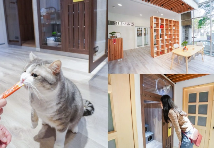 新竹寵物旅館推薦 新竹寵物旅館推薦