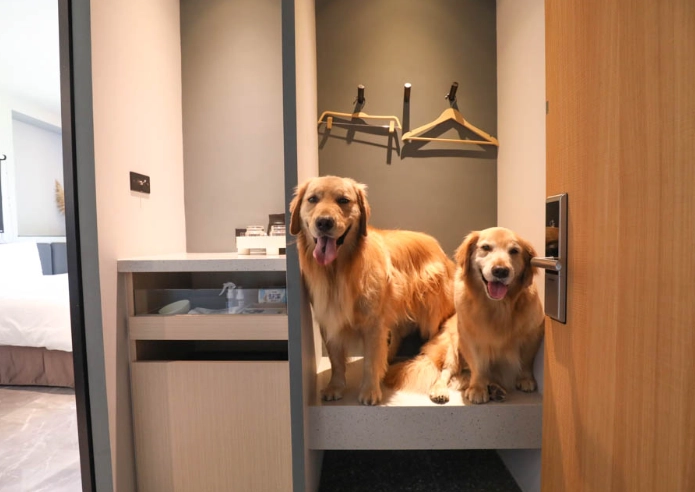 五星級寵物住宿 五星級寵物住宿