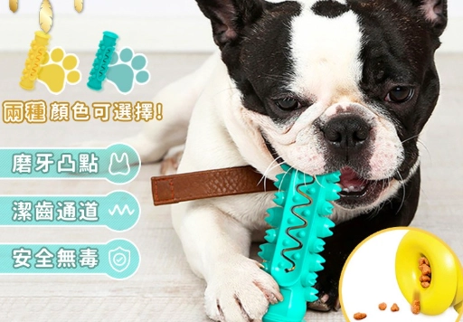 寵物洗牙價格 寵物洗牙價格