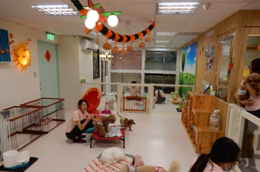 台灣寵物旅館申請