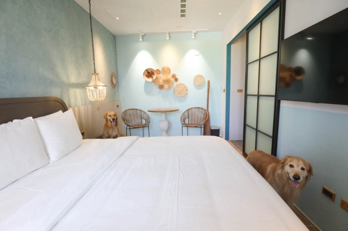 寵物友善飯店台灣 寵物友善飯店台灣