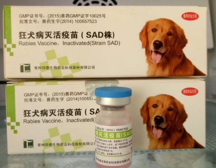 狂犬病疫苗保護期 狂犬病疫苗保護期