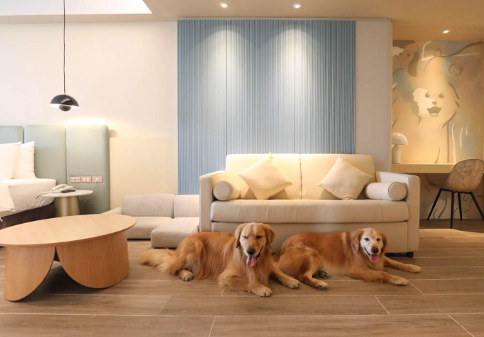 五星級寵物住宿 五星級寵物住宿