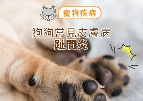 趾間炎治療 趾間炎治療