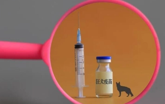 疫苗副作用處理 疫苗副作用處理