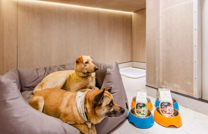 寵物寄宿家庭推薦 寵物寄宿家庭推薦