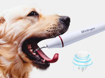 狗狗洗牙費用 狗狗洗牙費用