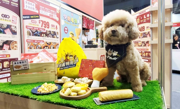 寵物展參展技巧 寵物展參展技巧