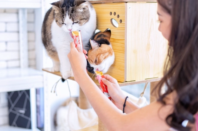 寵物保姆職責 寵物保姆職責