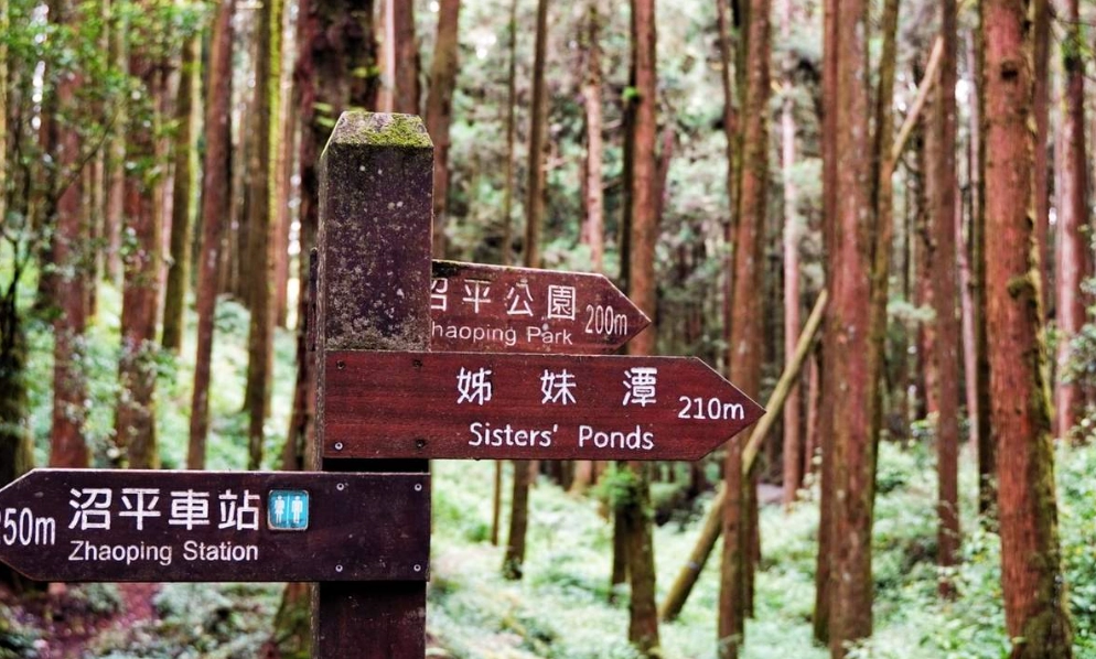 森林遊樂區推薦 森林遊樂區推薦