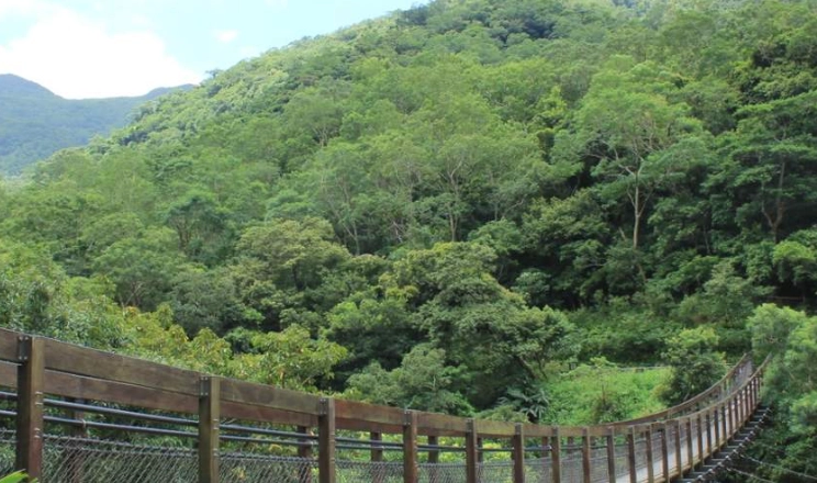 森林遊樂區門票 森林遊樂區門票