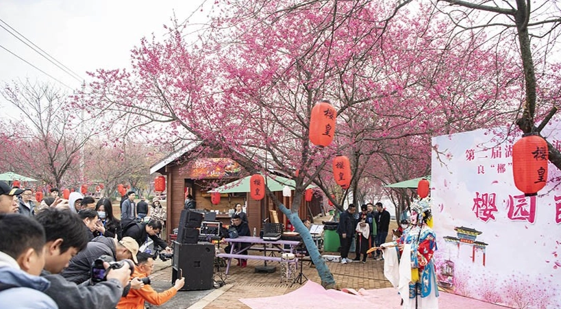 宜蘭賞櫻地點 宜蘭賞櫻地點