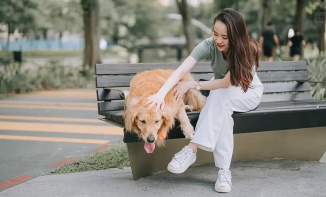 如何成為寵物保母 如何成為寵物保母