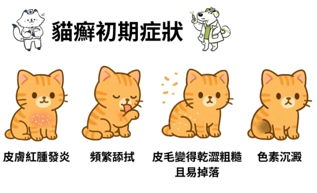 貓癬治療方法 貓癬治療方法