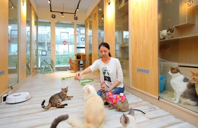 寵物寄宿家庭注意事項 寵物寄宿家庭注意事項