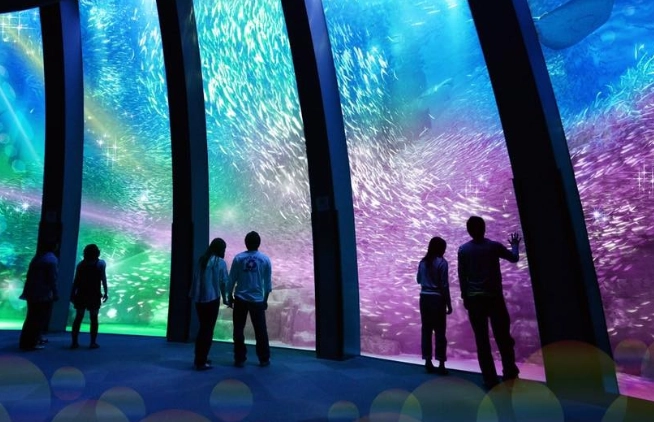 八景島水族館 交通