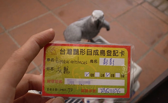 補發寵物登記證流程 補發寵物登記證流程