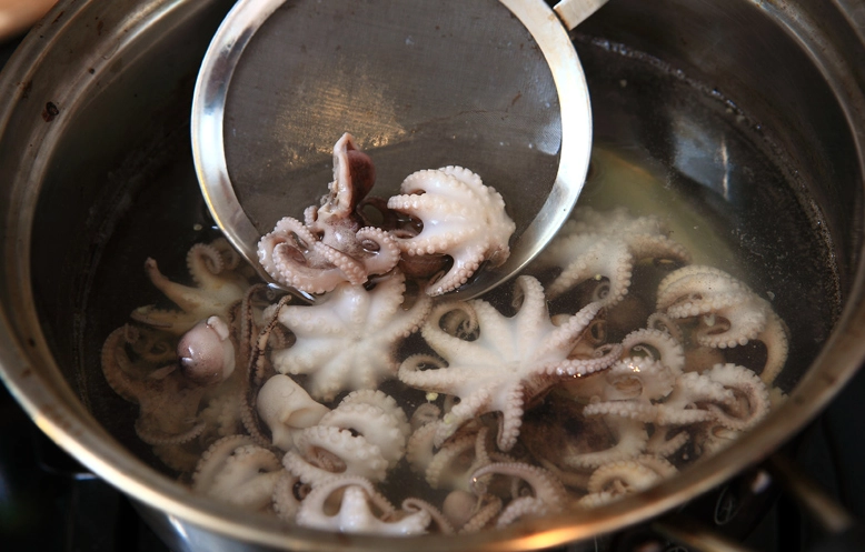 章魚料理技巧