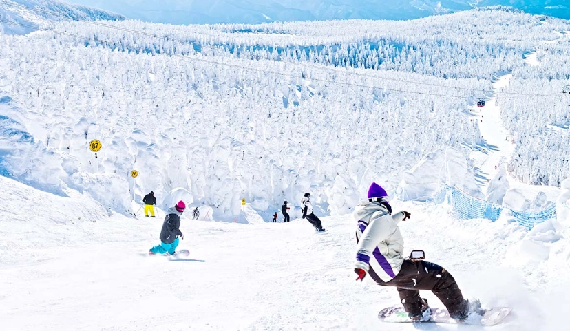日本滑雪場比較 日本滑雪場比較