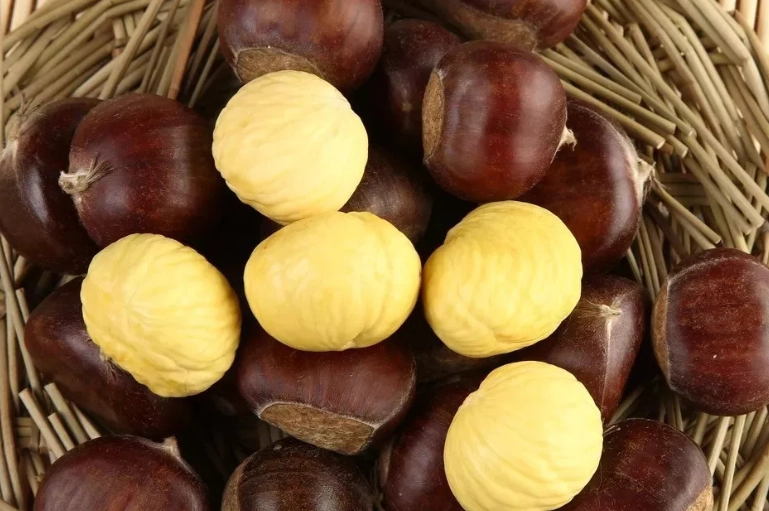 栗子吃不完處理 栗子吃不完處理