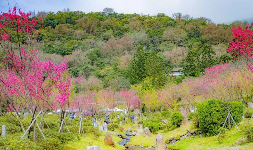 情人節台北活動 情人節台北活動