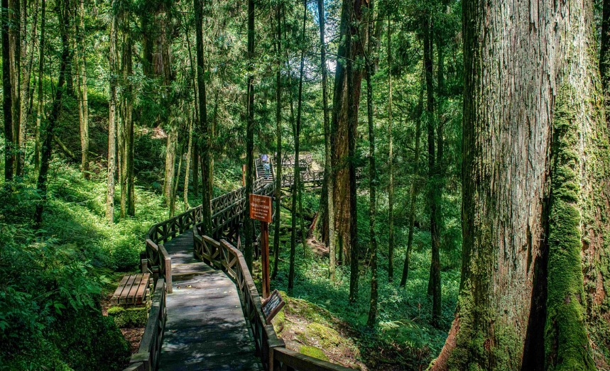 嘉義親子景點 嘉義親子景點