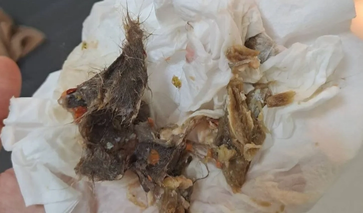 毛球症治療方法 毛球症治療方法