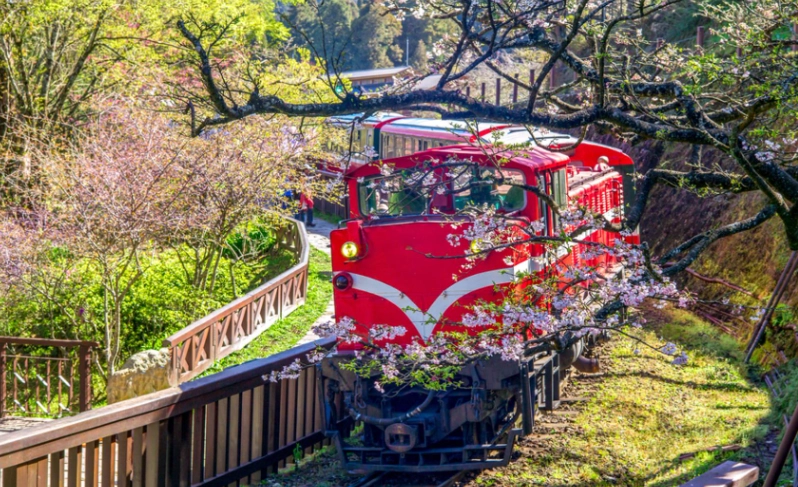 嘉義兩天一夜行程 嘉義兩天一夜行程