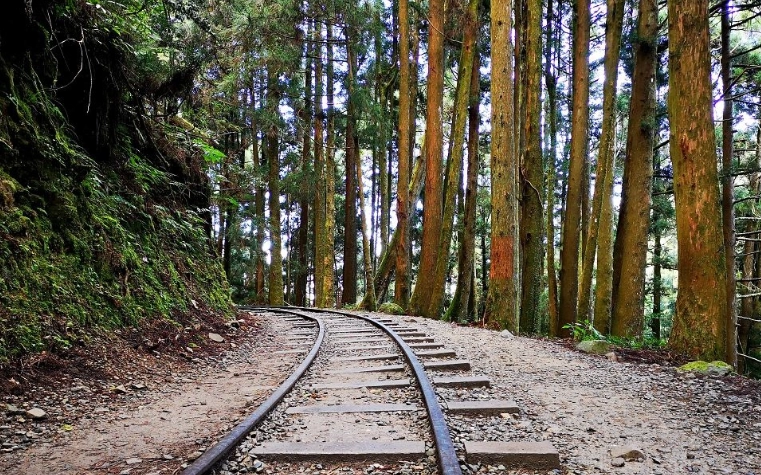 阿里山旅遊攻略