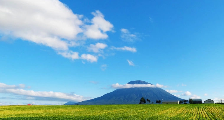 二世谷夏天攻略 二世谷夏天攻略