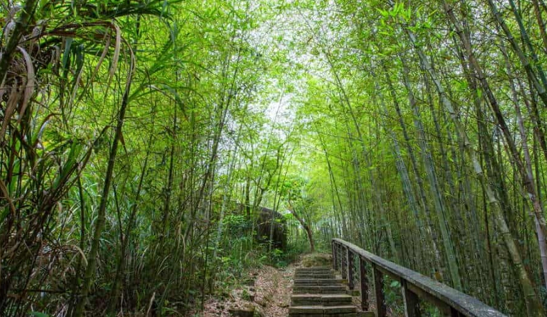 嘉義親子景點 嘉義親子景點