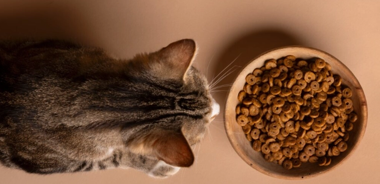 猫粮成分分析 猫粮成分分析