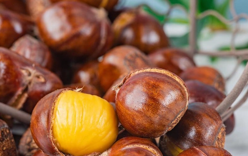 栗子保存方法 栗子保存方法