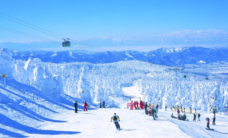 日本滑雪場比較 日本滑雪場比較