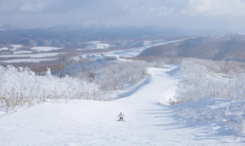 北海道滑雪場推薦