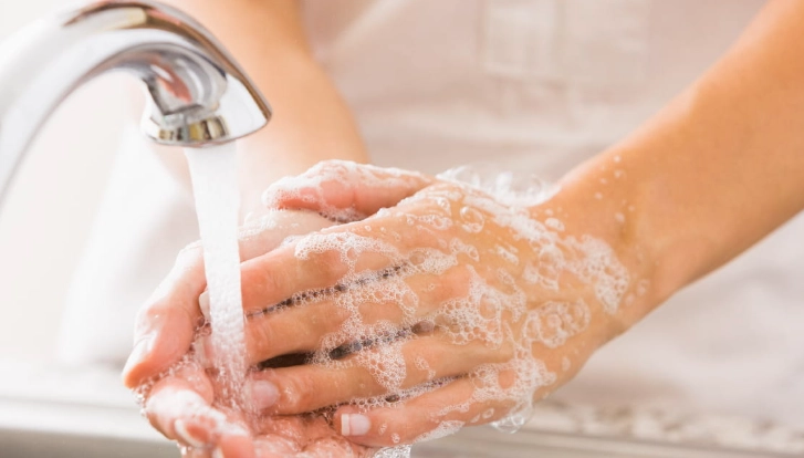 细小病毒传播途径 细小病毒传播途径