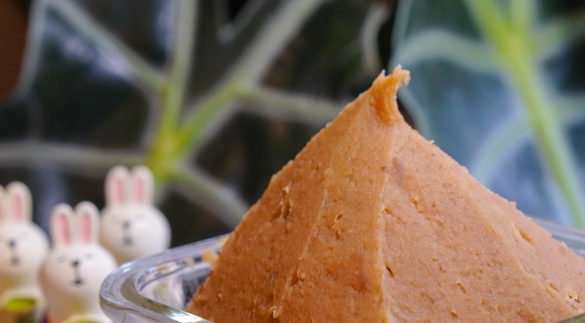 栗子保存方法 栗子保存方法