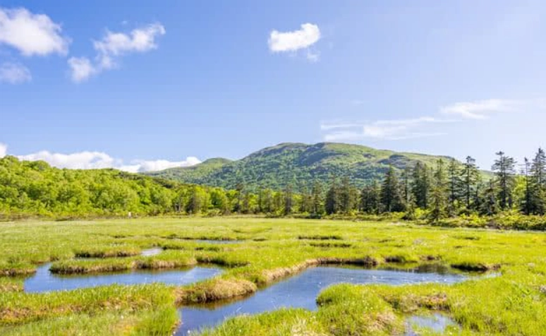 二世谷夏天活動 二世谷夏天活動
