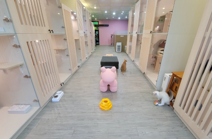 寵物托育費用比較