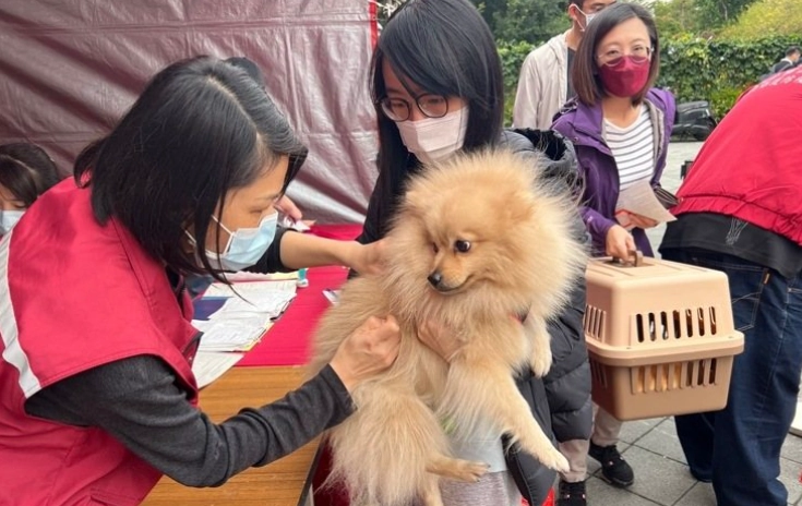 未植入晶片罰則