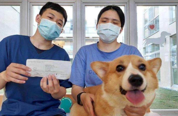 寵物登記證遺失補辦 寵物登記證遺失補辦