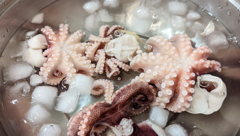 如何煮章魚變軟