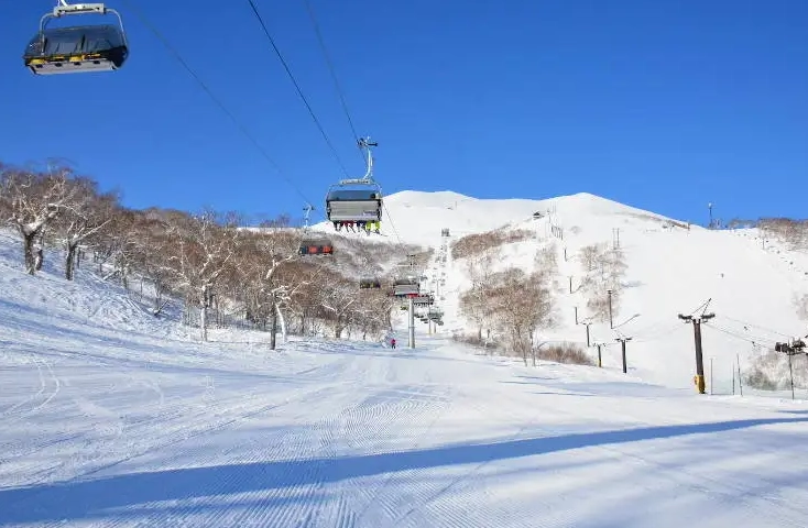 新雪谷滑雪初學者