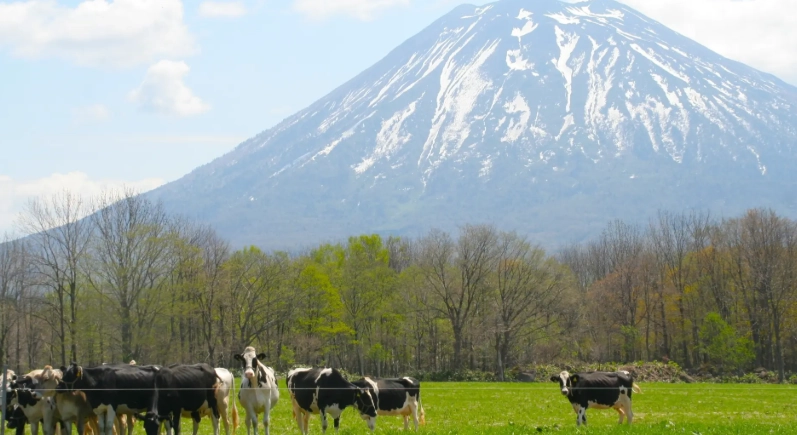 二世谷夏季旅遊 二世谷夏季旅遊