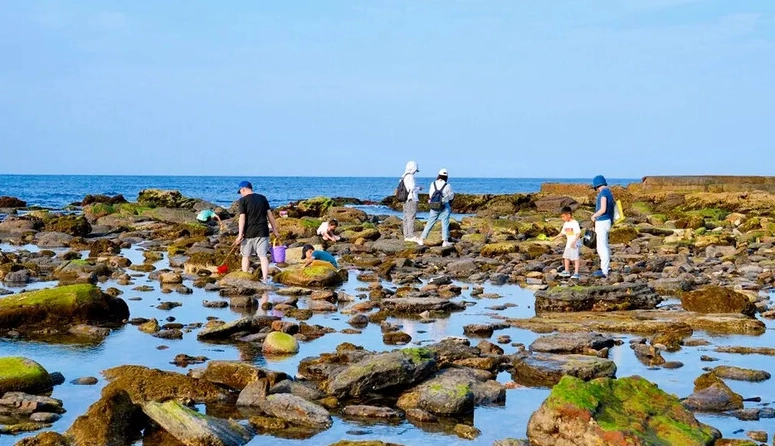 螃蟹冒泡景點 螃蟹冒泡景點