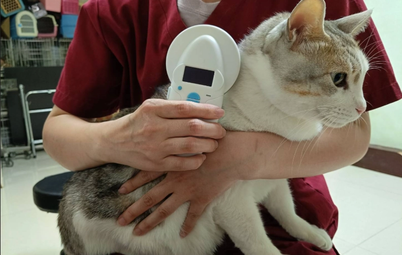 寵物晶片更新流程