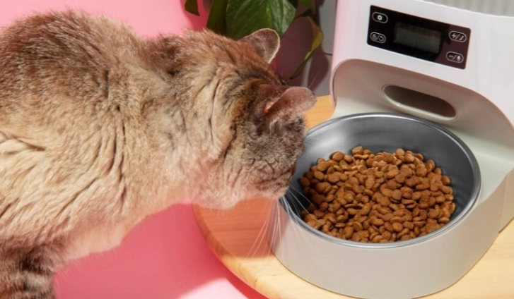 猫粮成分分析 猫粮成分分析