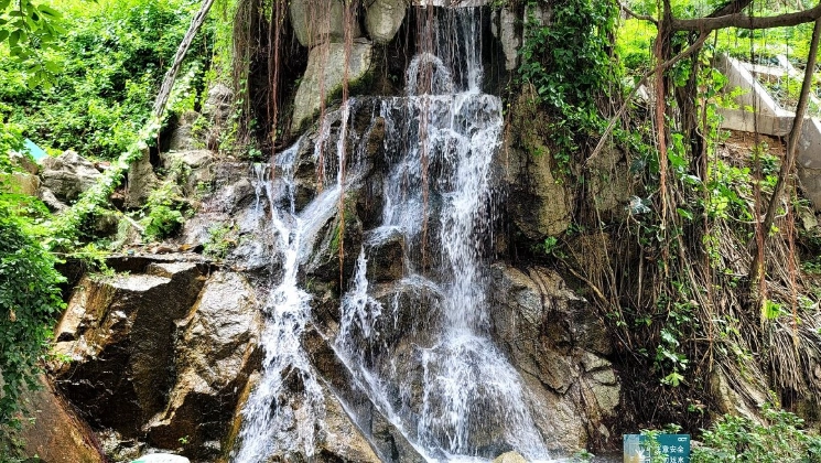 自由行廣東攻略